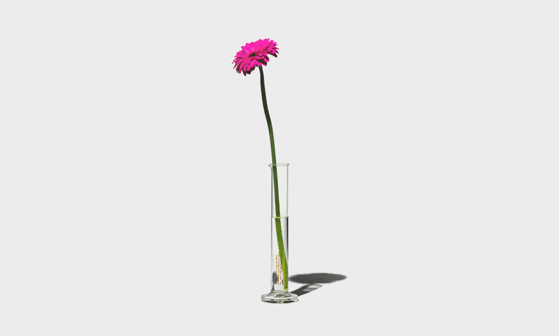Jarrón Single Flower - 100ml
