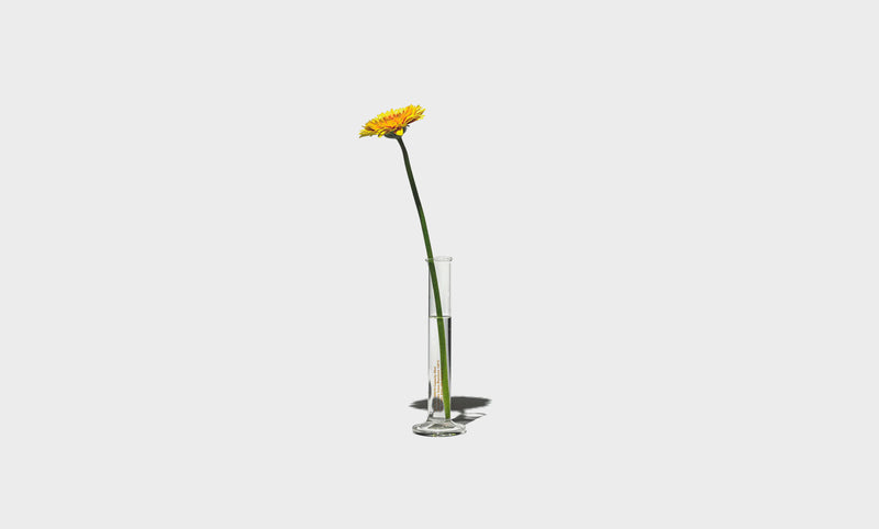 Jarrón Single Flower - 50ml