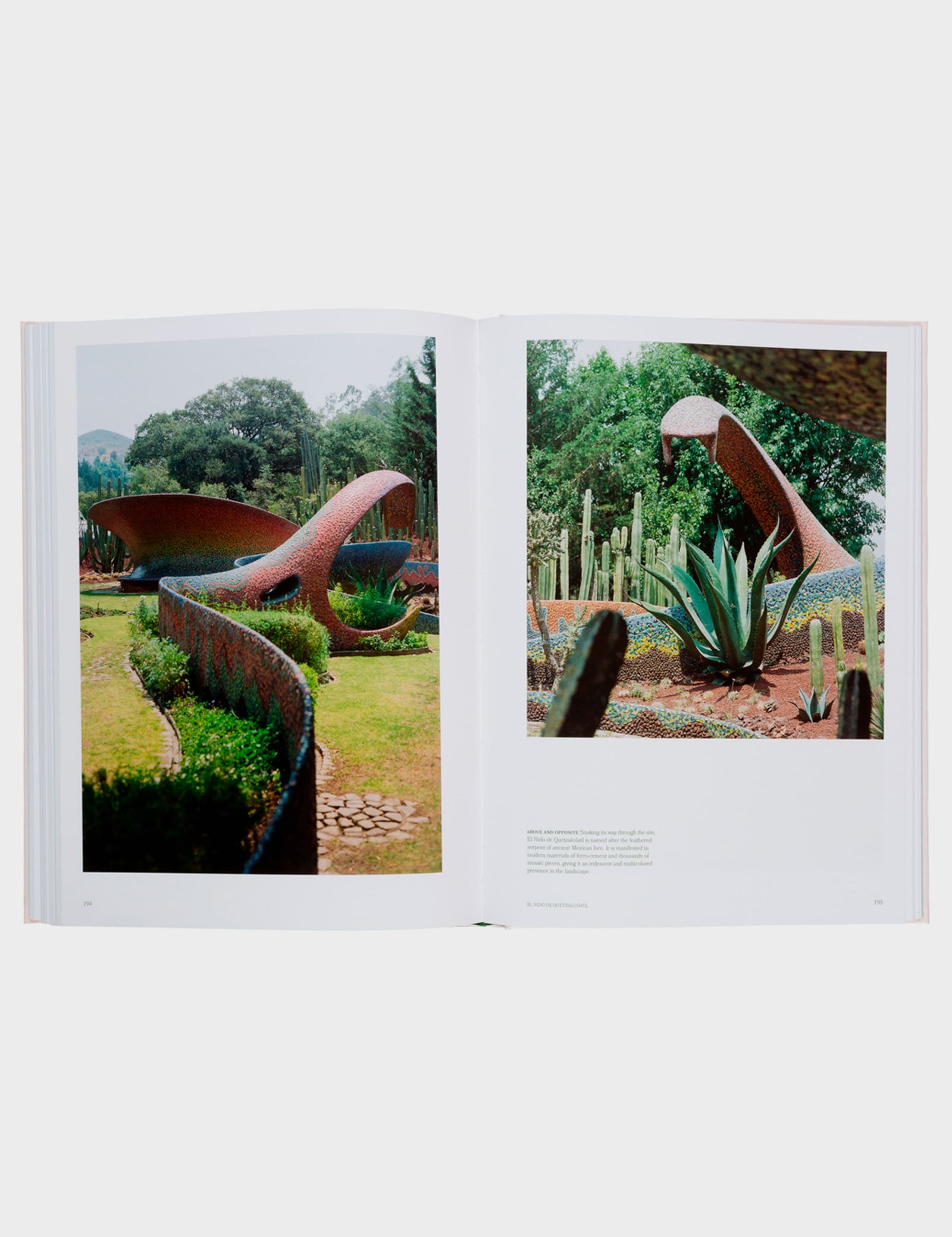 The avant gardens