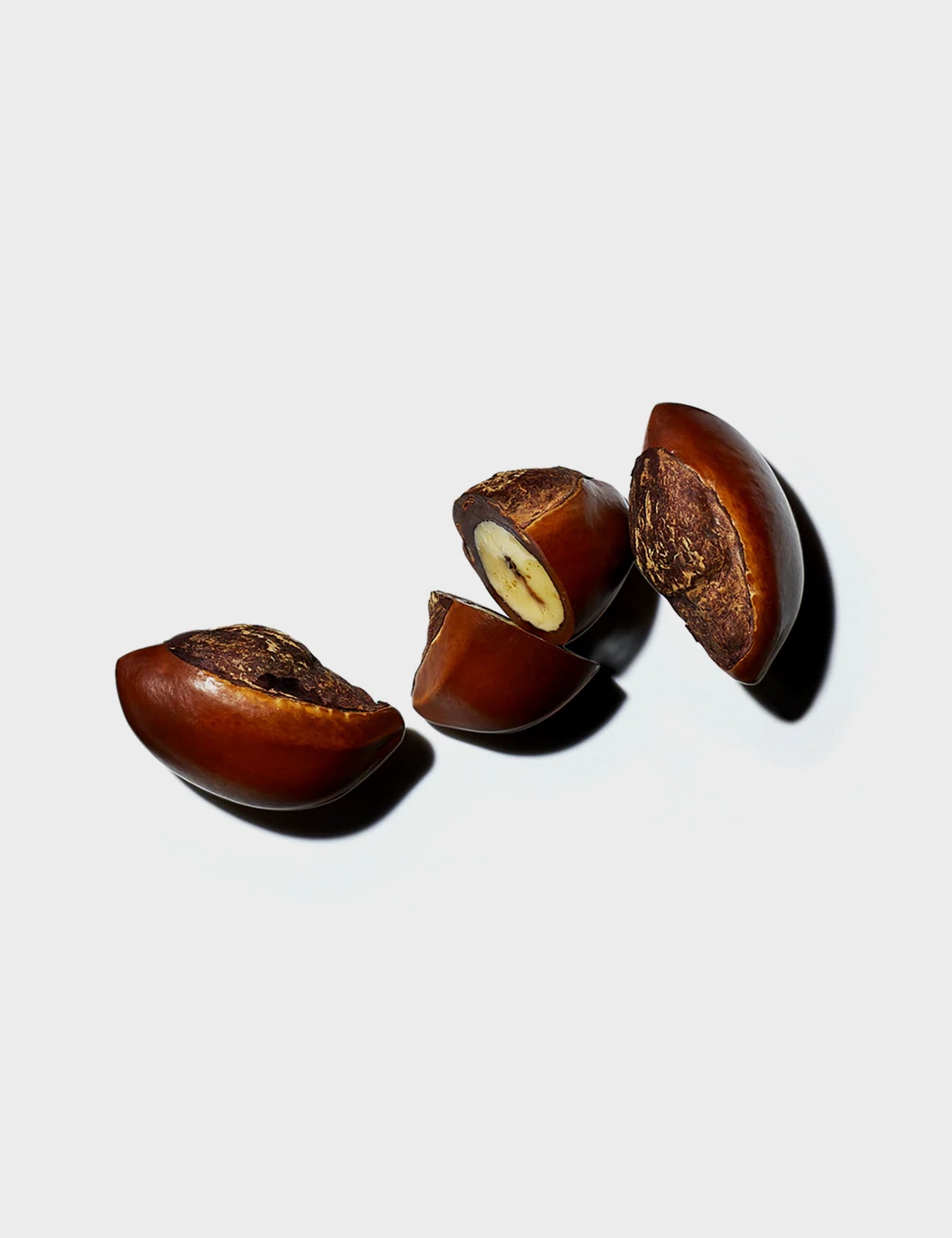 Jabón Nutritivo Gordíssimo